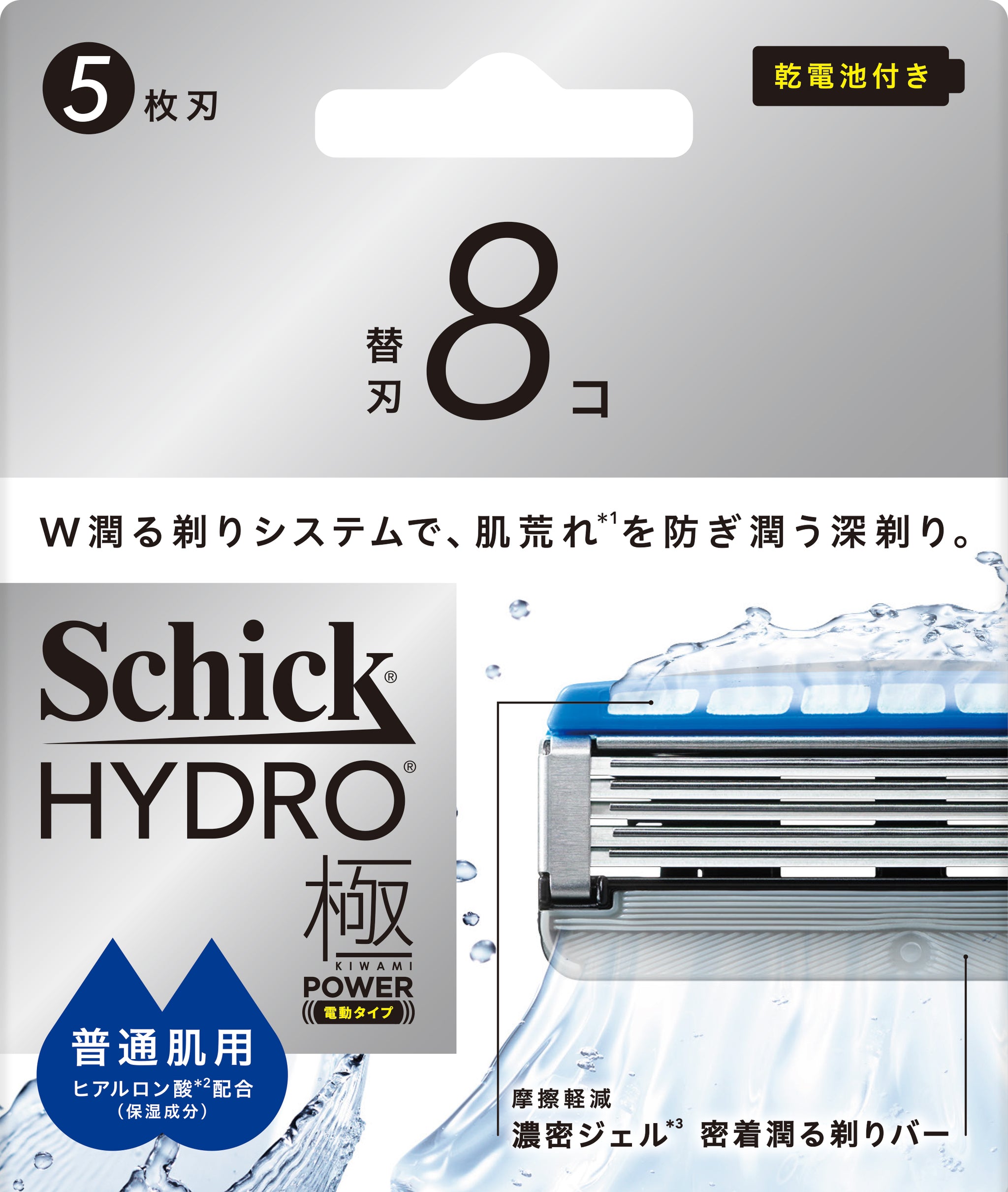ハイノキ　代替え提案品　サンスマイル様 シック｜ハイドロ極パワー 普通肌 替刃 (8コ)